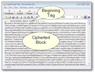Encrypted Document