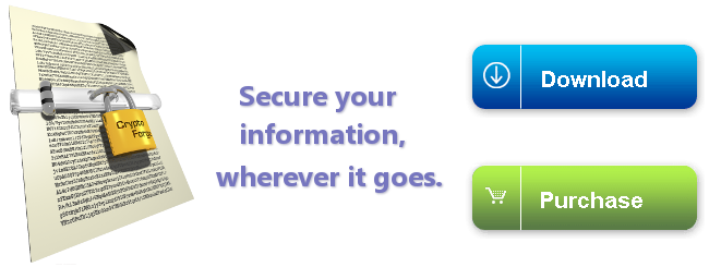 Data Encryption Software
