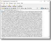 text encryption